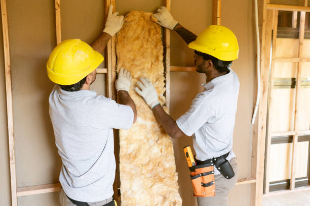 Best Attic Insulation Installation  in La Porte, IN